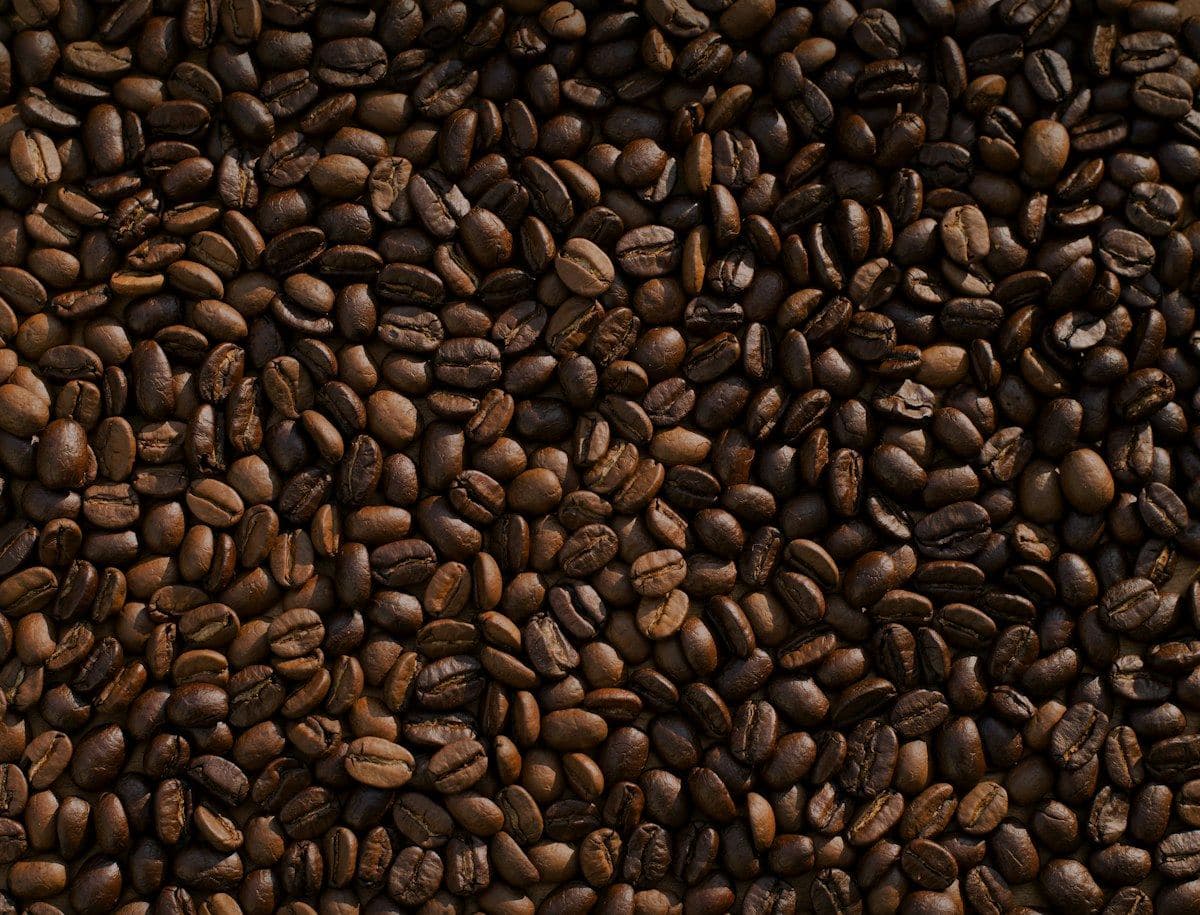 Café de origen: cata y finca